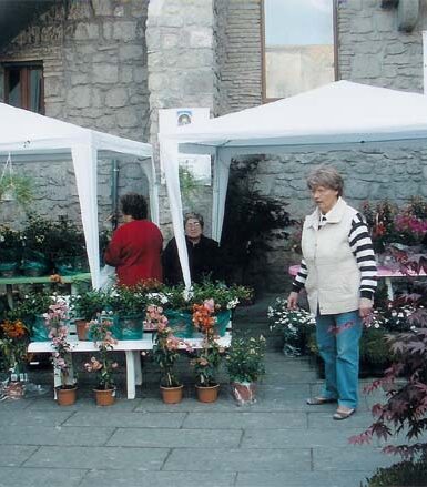 San Pellegrino in fiore – Ed.2008/2009 | Viterbo