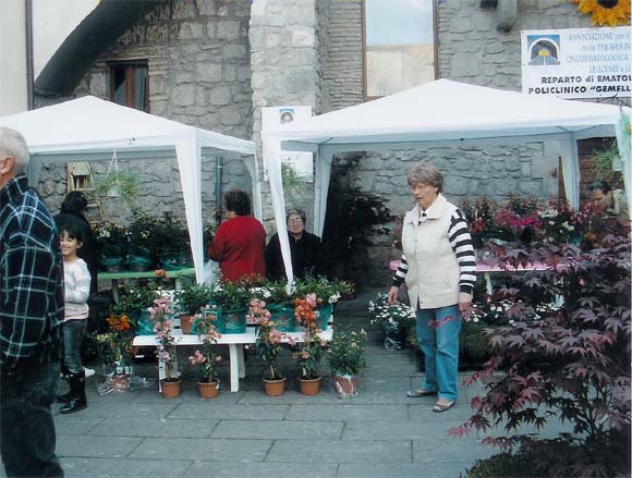 San Pellegrino in fiore – Ed.2008/2009 | Viterbo